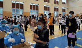 独家爆料逃税案例最新消息,最新逃税案例曝光，涉案金额令人咋舌！